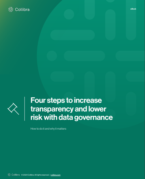 Four steps to increase transparency and lower risk with data governance