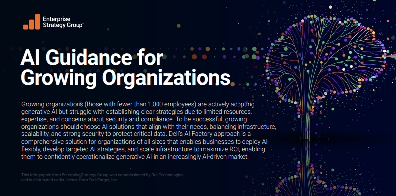 AI Guidance for Growing Organizations