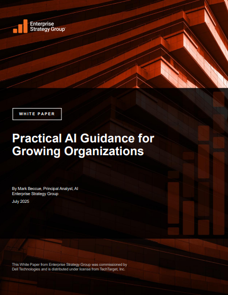 Practical AI Guidance for Growing Organizations