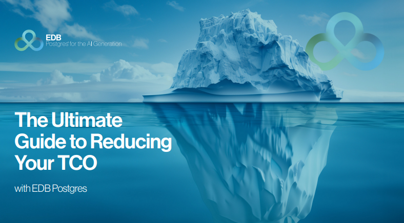 The Ultimate Guide to Reducing Your TCO