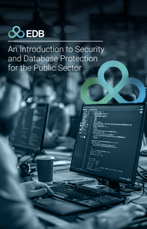 An Introduction to Security and Database Protection for the Public Sector